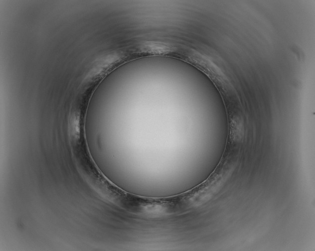 X0000112500358200908171314