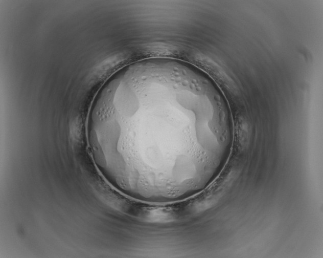 X0000112500359200908171314