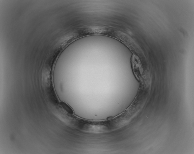 X0000112500360200908171314