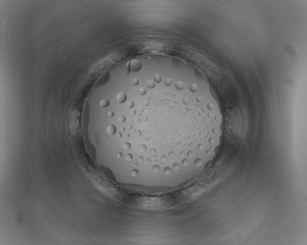 X0000112500361200908171314