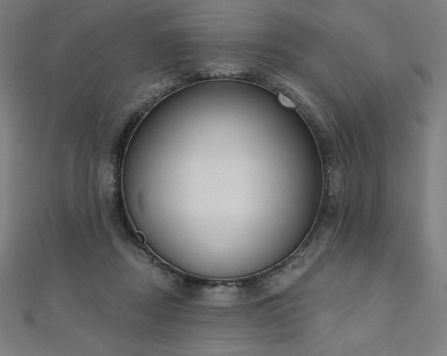 X0000112500362200908171314