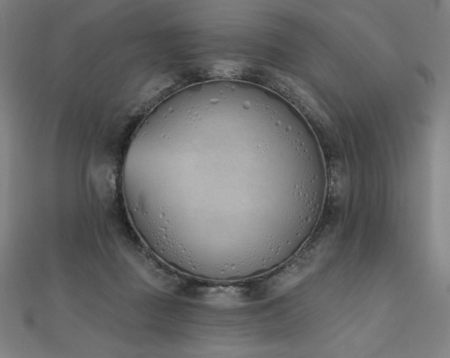 X0000112500363200908171314