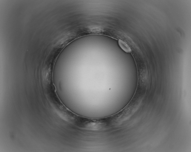 X0000112500364200908171314