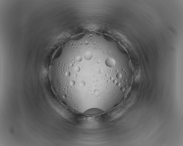 X0000112500365200908171314