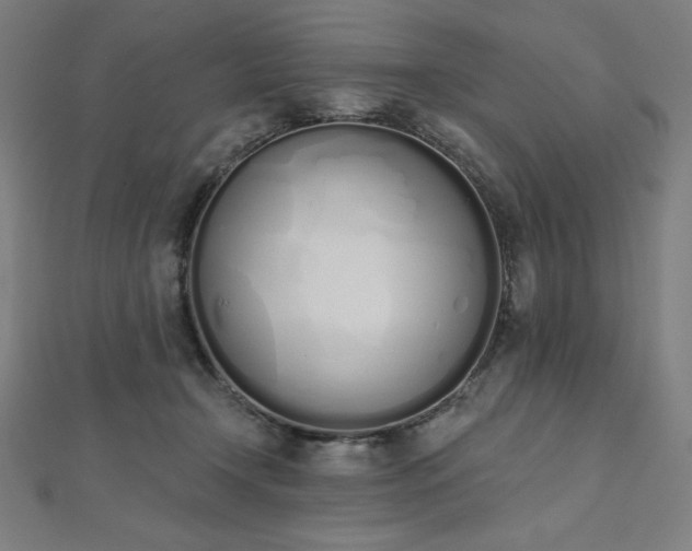 X0000112500366200908171314