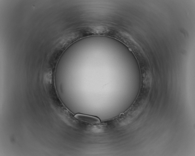 X0000112500368200908171314