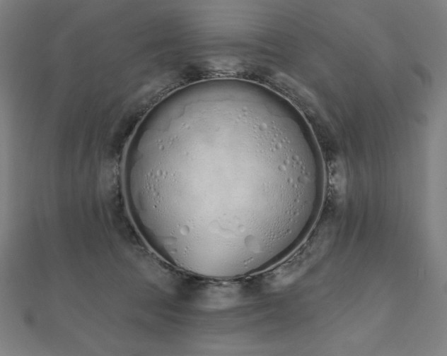 X0000112500369200908171314