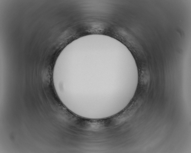 X0000112500370200908171314