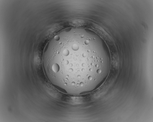 X0000112500371200908171315