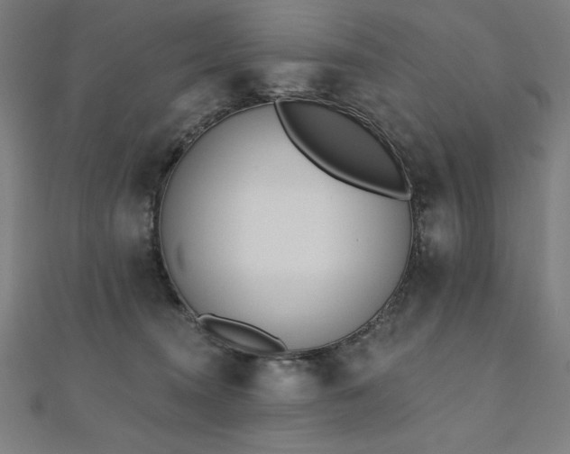 X0000112500372200908171315