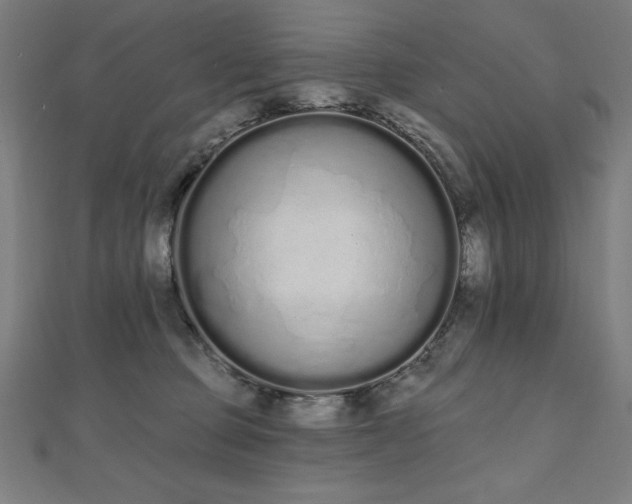 X0000112500373200908171315