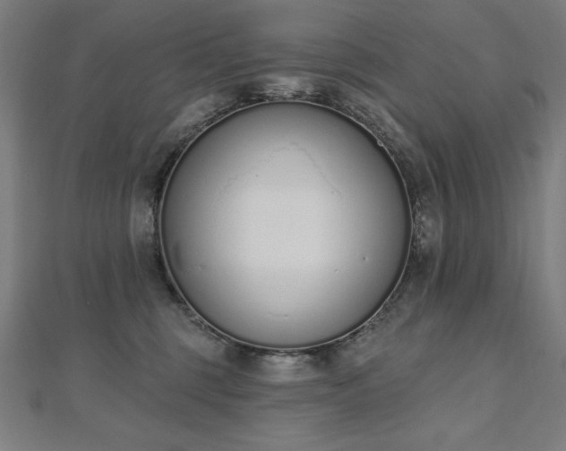 X0000112500375200908171315