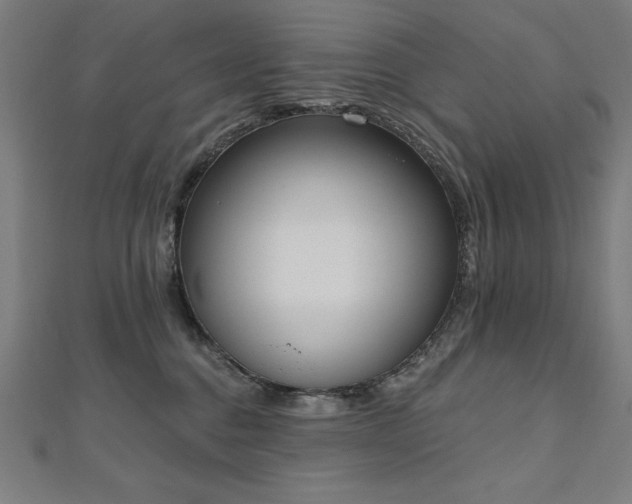 X0000112500376200908171315