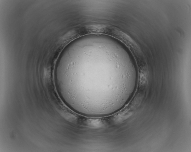 X0000112500377200908171315