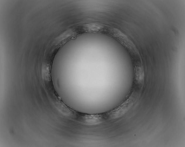 X0000112500378200908171315