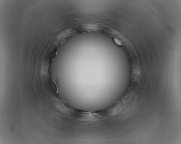 X0000112500379200908171315