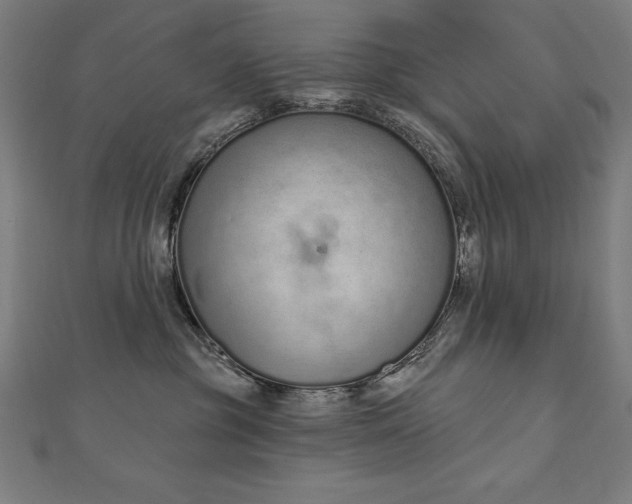 X0000112500381200908171315