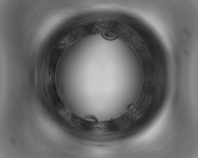 X0000112500382200908171315