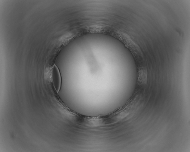 X0000112500383200908171315