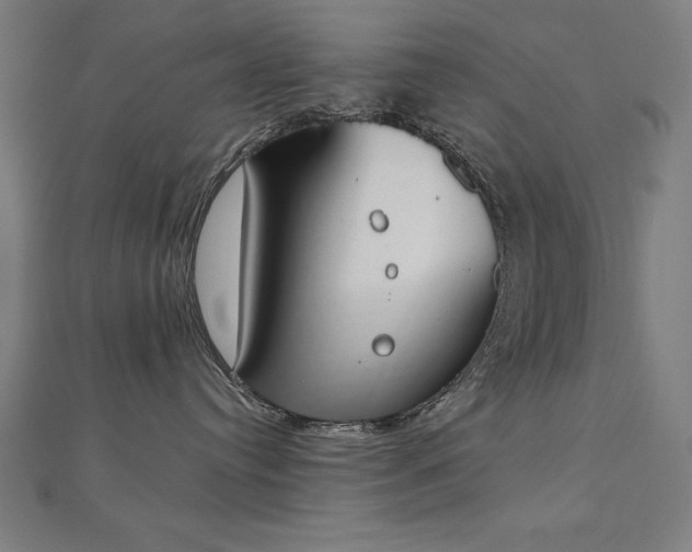 X0000112500384200908171315