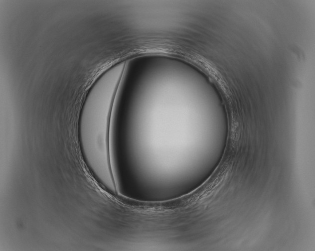 X0000112500385200908171314