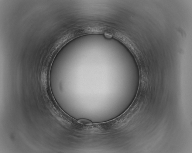 X0000112500386200908171314