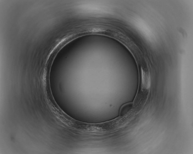 X0000112500387200908171314