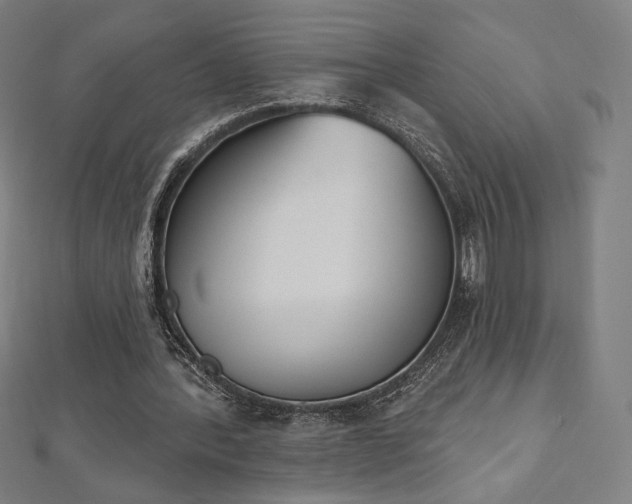 X0000112500388200908171314