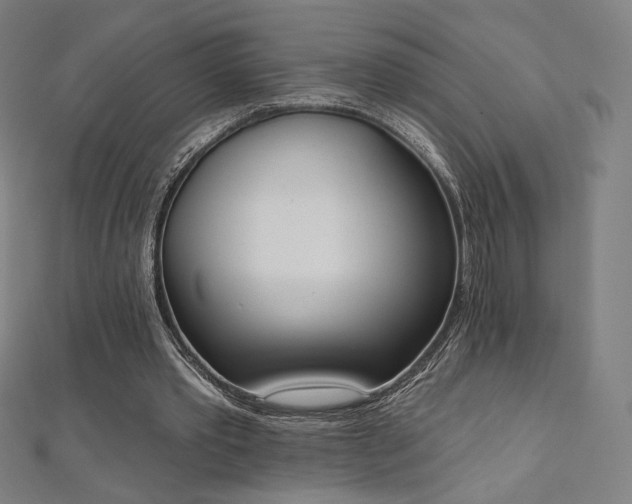 X0000112500389200908171314