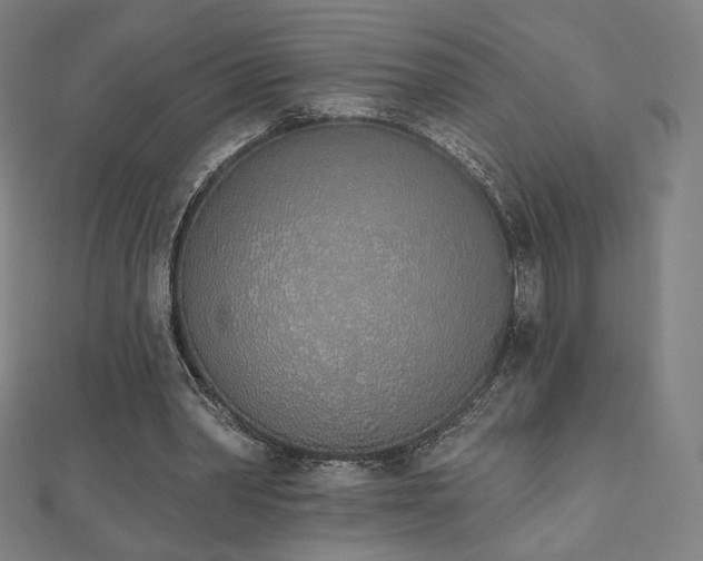 X0000112500390200908171314