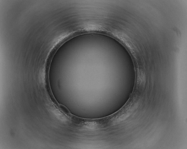 X0000112500391200908171314