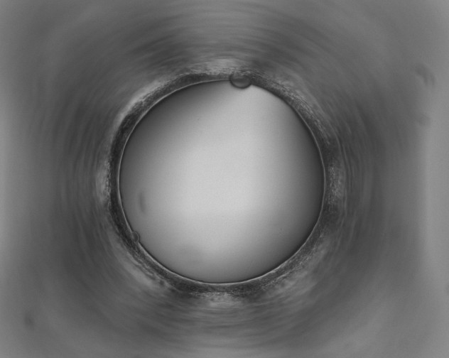 X0000112500392200908171314