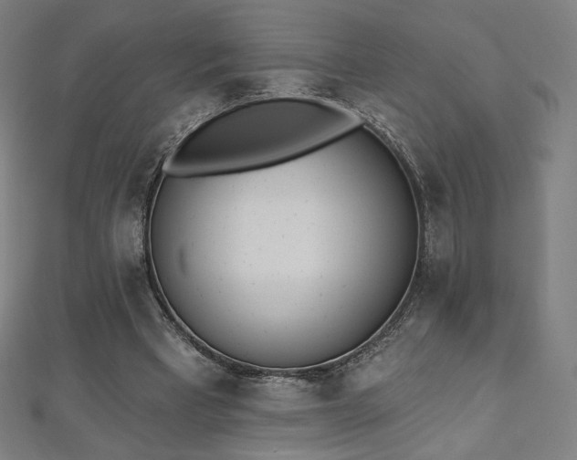 X0000112500393200908171314