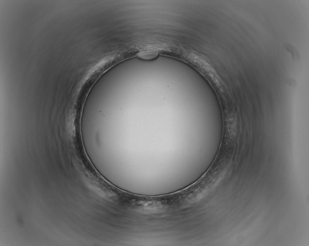 X0000112500395200908171314