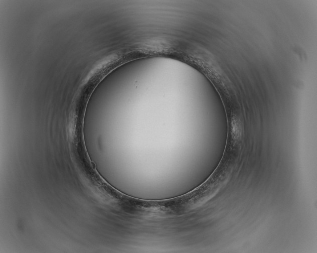 X0000112500396200908171314