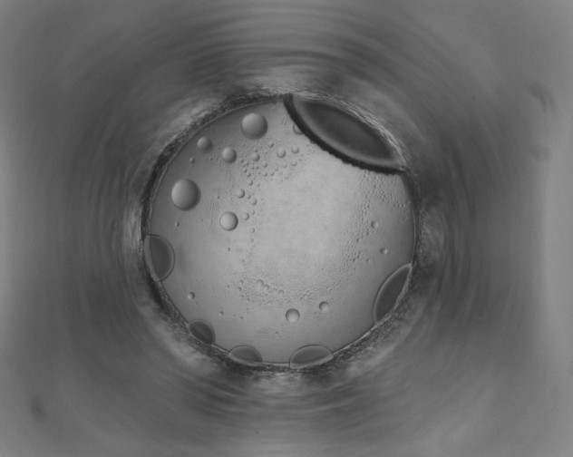 X0000112500398200908171314