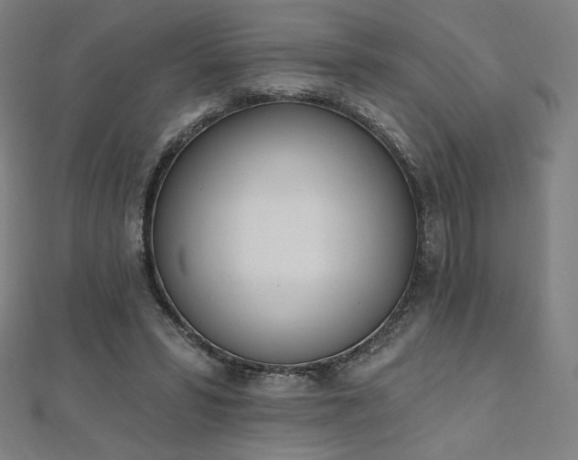 X0000112500399200908171314