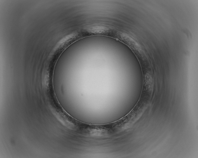 X0000112500400200908171314