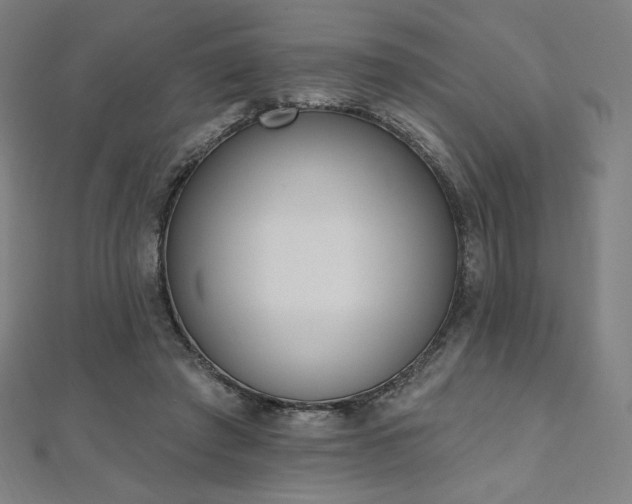 X0000112500401200908171314