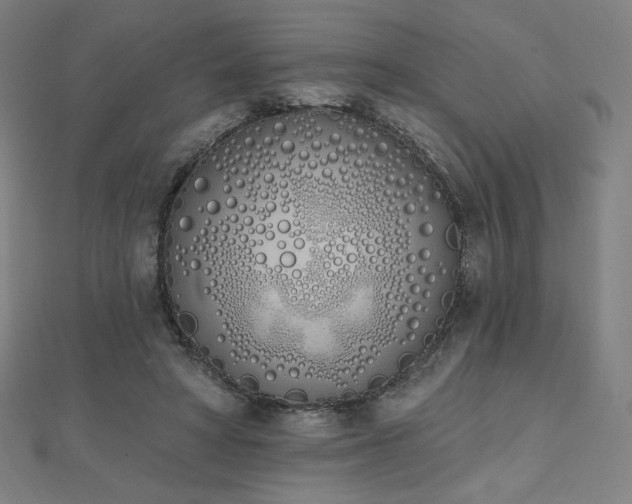 X0000112500402200908171314