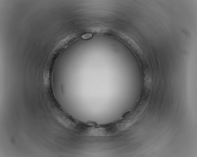 X0000112500403200908171314