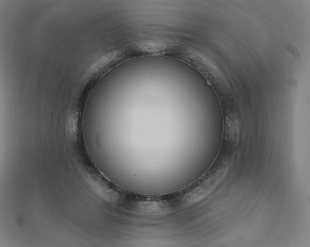 X0000112500404200908171314