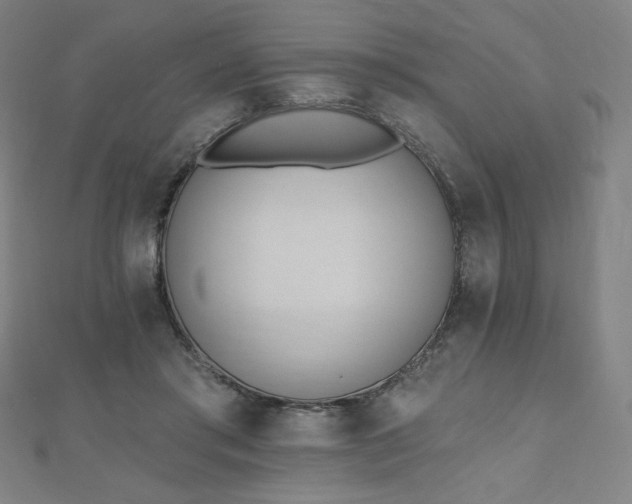 X0000112500405200908171314