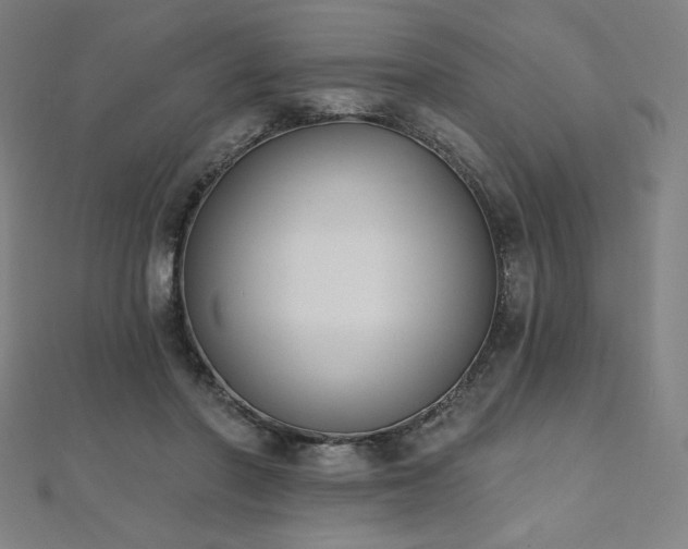 X0000112500406200908171314