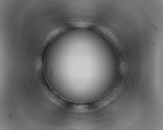 X0000112500407200908171314