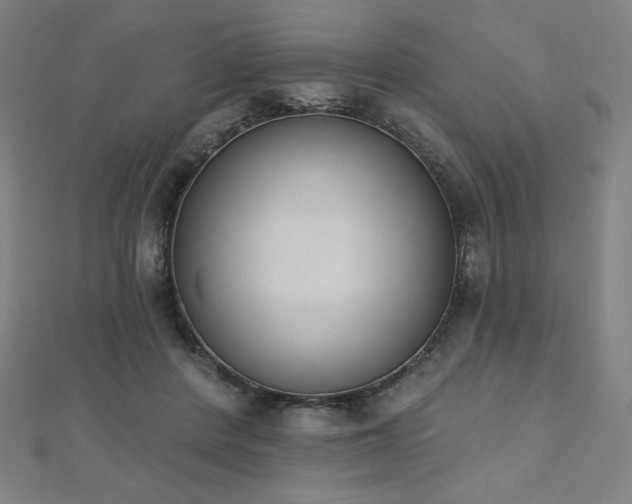 X0000112500408200908171314