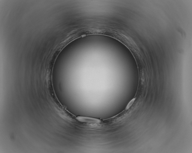 X0000112500409200908171314