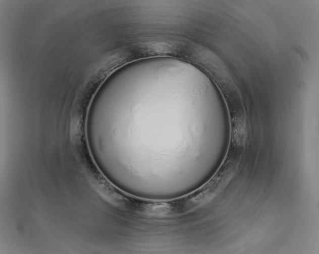 X0000112500410200908171314