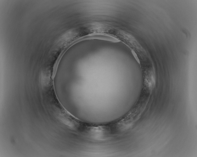 X0000112500411200908171314