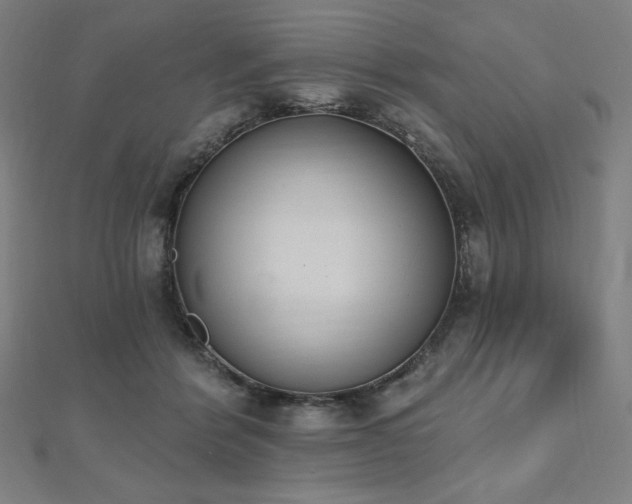 X0000112500412200908171314